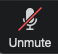 Zoom microphone button
