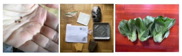 seed kits