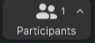 Participants button in Zoom located at the bottom of the screen on the toolbar