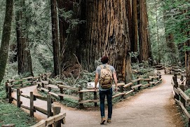 Man hiking at a fork in the road