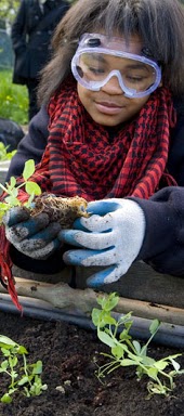Student working in school garden