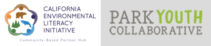 Logos for CAELI and Park Youth