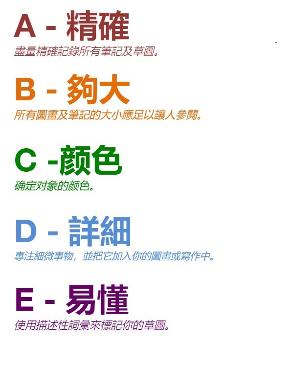 page that says ABCDE vertically to describe scientific sketching.