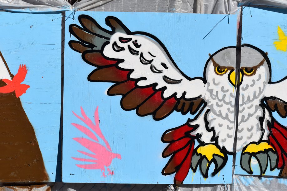 Hawk