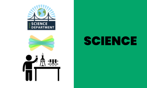 Seesaw Lesson Activities for Science