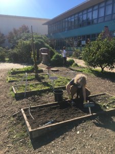 students in APG garden planting