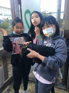 students in APG garden with chickens