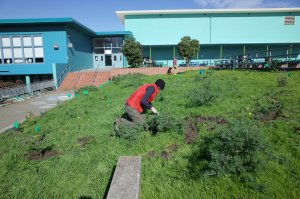 stduents in APG garden weeding