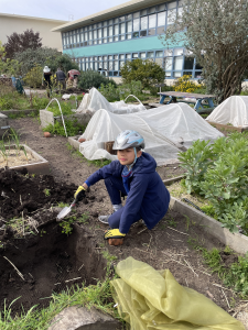 APG garden club 