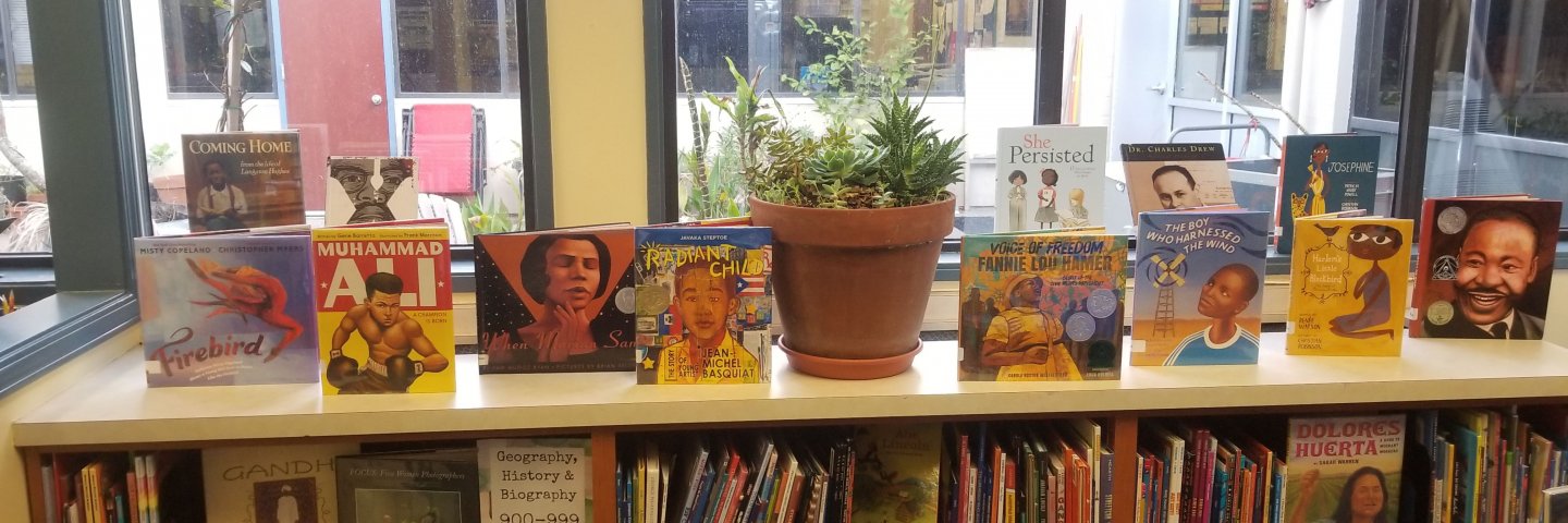 Picture book display in library.