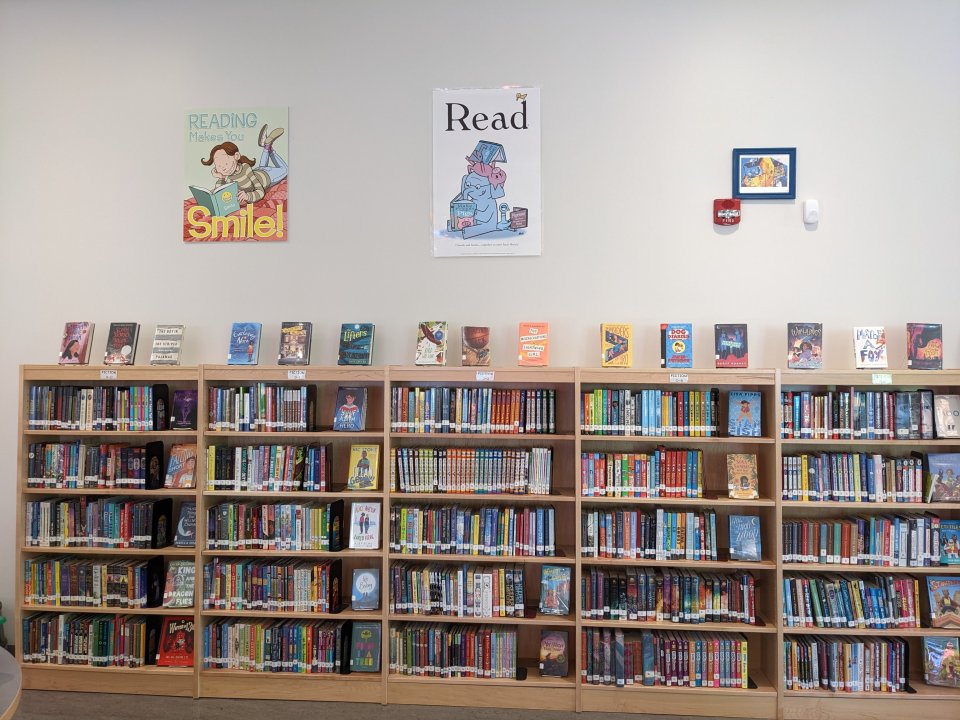 Library bookshelves