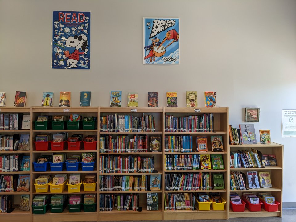 Library bookshelves