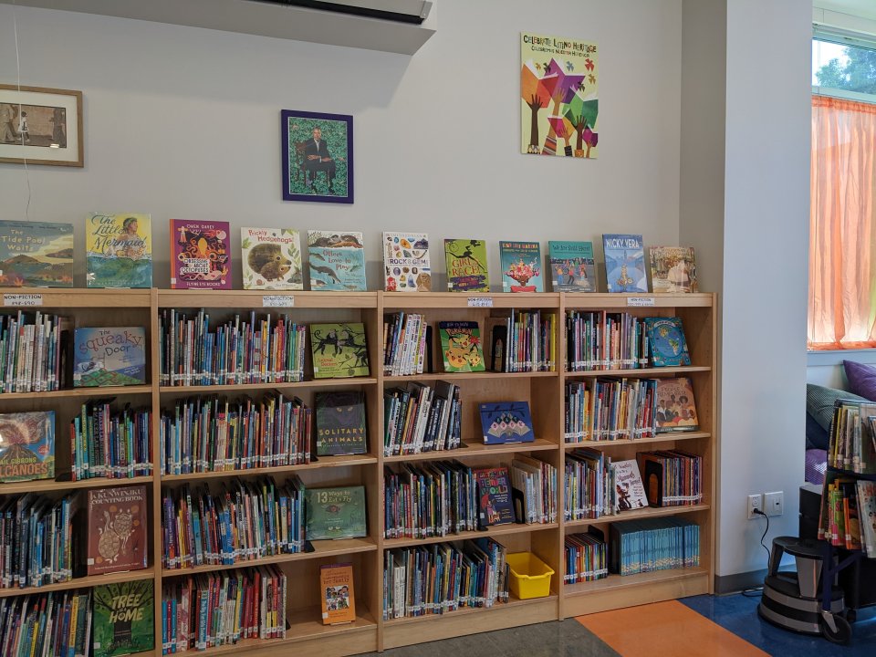 Library bookshelves