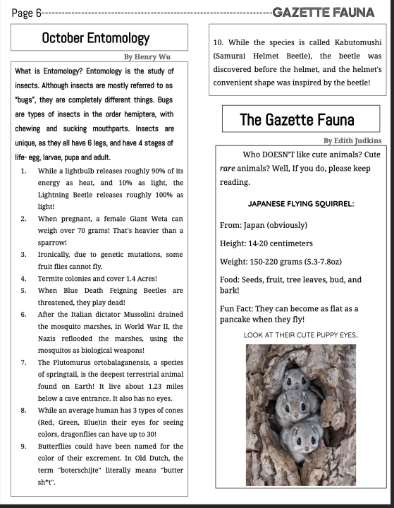 page 6 gazette