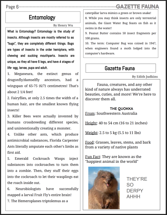 gazette 6