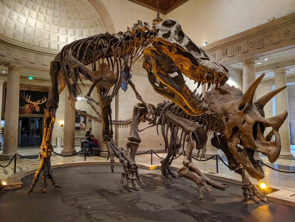 virtual museum tours