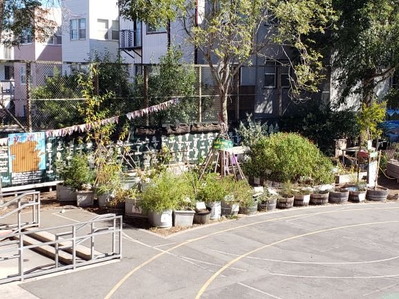 Learning garden