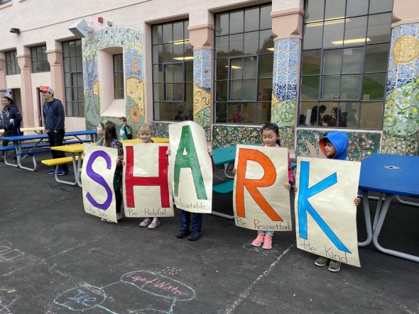 sherman sharks