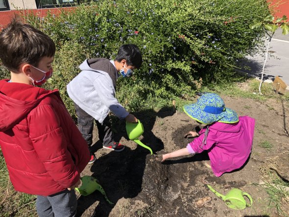 SFC Garden club