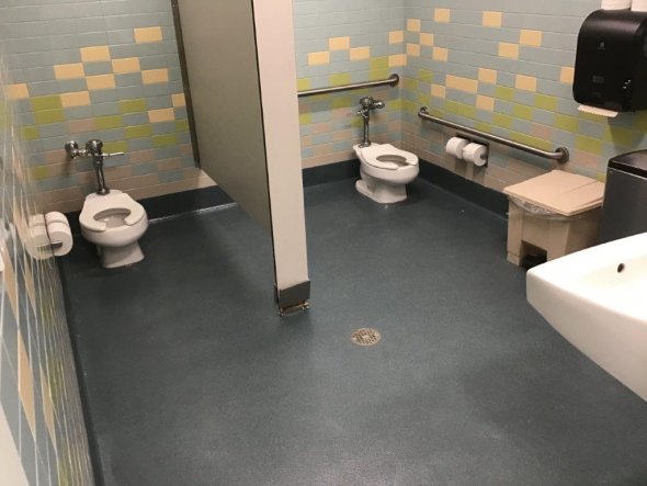 tule elk park