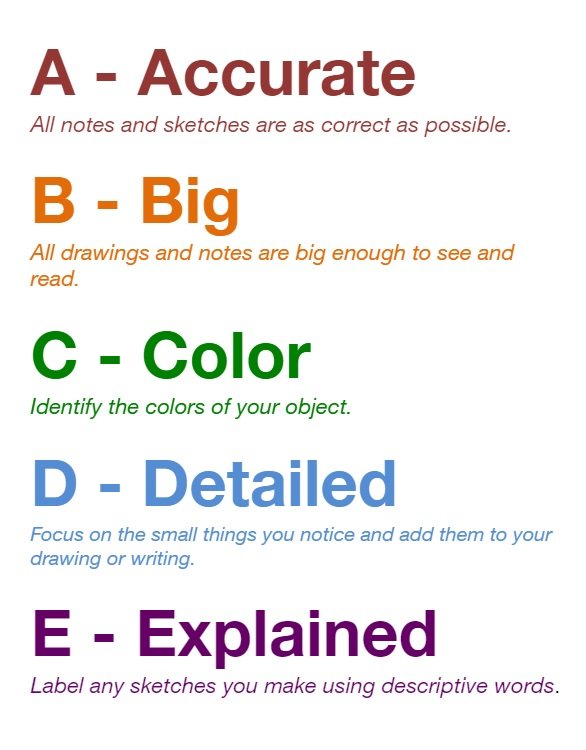 page that says ABCDE vertically to describe scientific sketching.