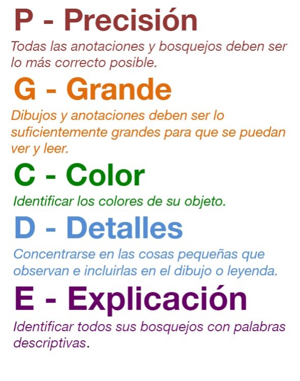 page that says ABCDE vertically to describe scientific sketching.