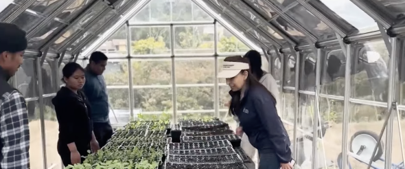 Student interns at McAteer Garden