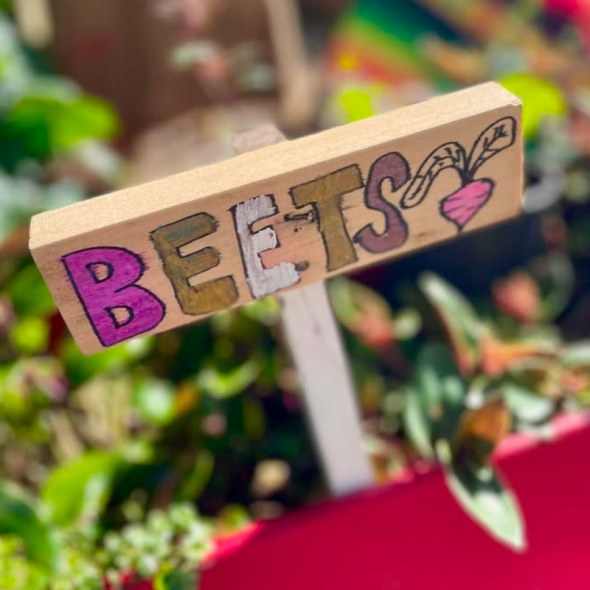 A close-up, slightly high-angle shot of a handmade wooden garden sign that reads "BEETS" in colorful, hand-painted block letters. To the right of the text is a small, hand-drawn illustration of a pink beet with green leaves.
