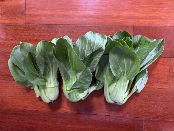bok choy