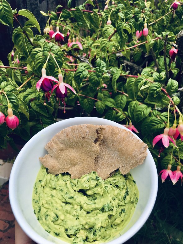 guac n pita