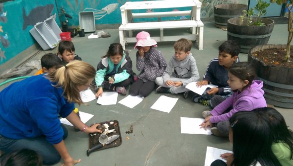 Outdoor education class with teacher and students kneeling and observing plant life