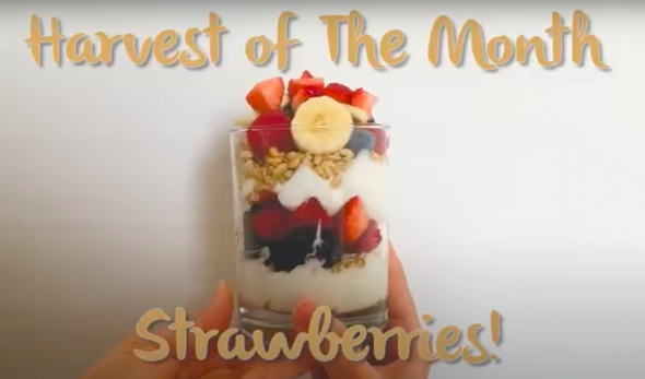 hotm strawberries