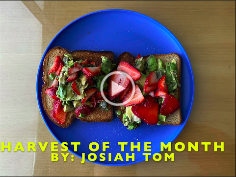 avo straw toast