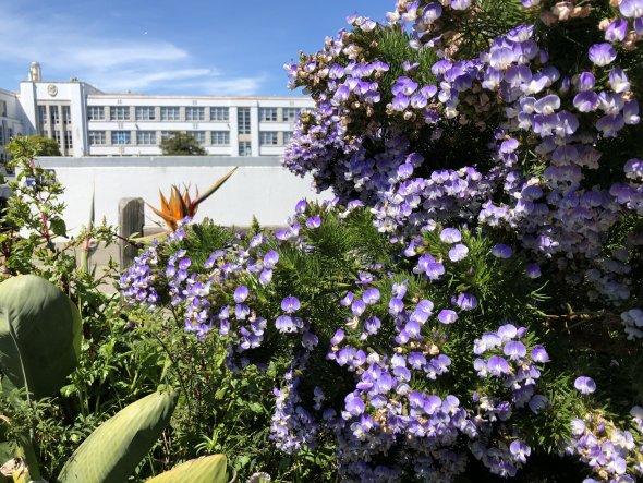 GWHS garden 