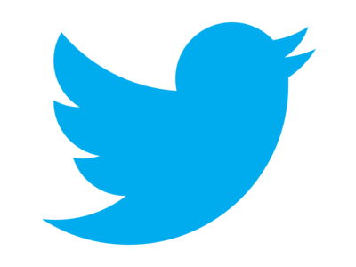 twitter bird logo