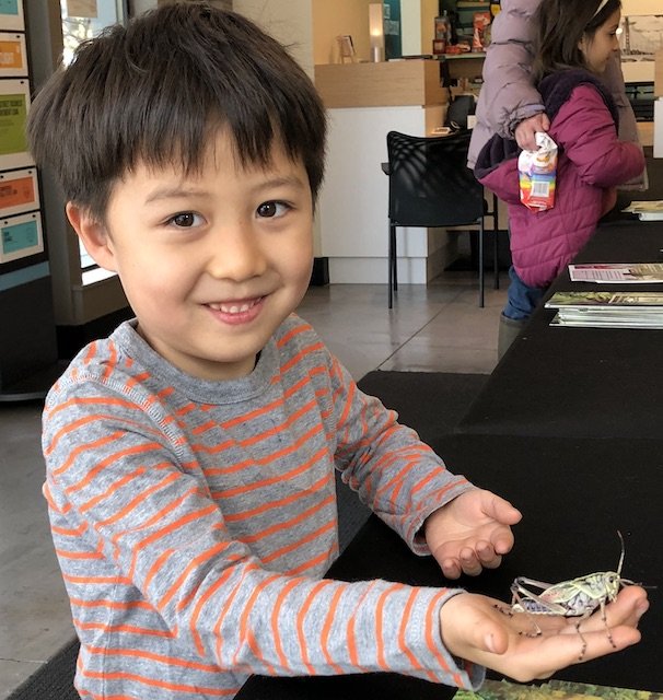 boy holding a bug