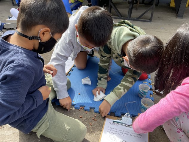 Students work on a STEAM activity together