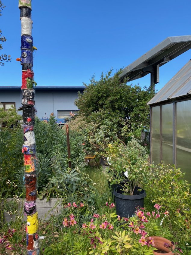 STEAM garden