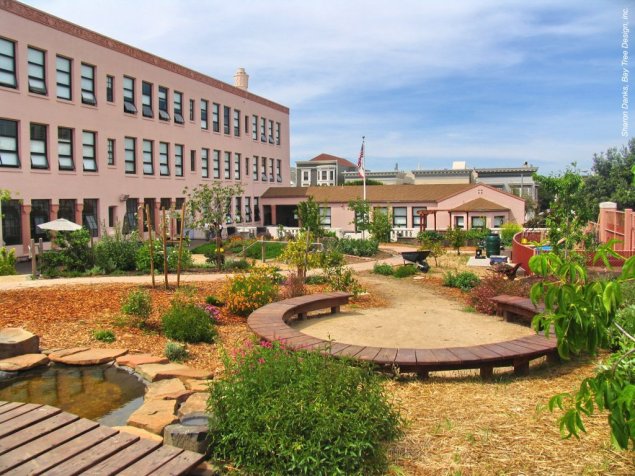 green school yard