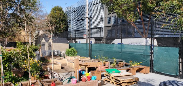 green school yard