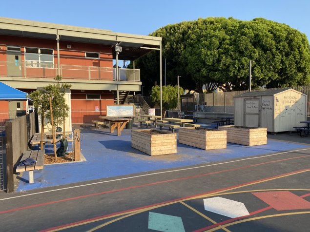 green school yard