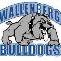 school logo