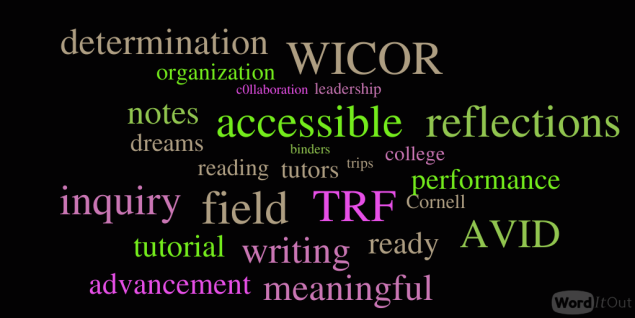 AVID word cloud