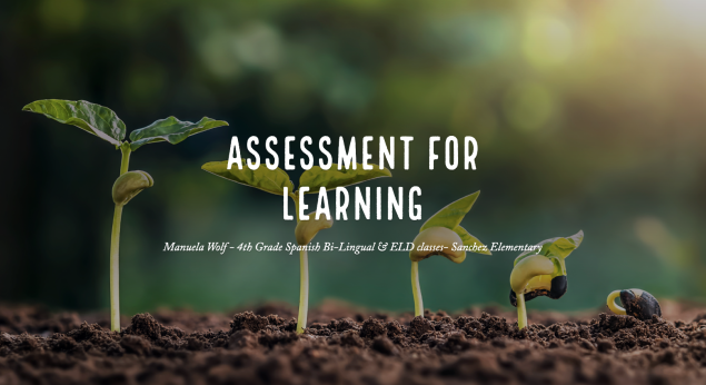 Assessment Portfolios 