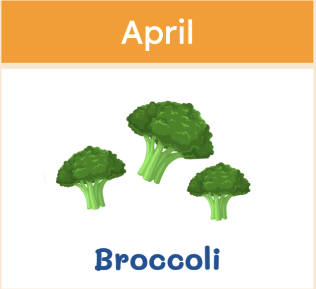 broc