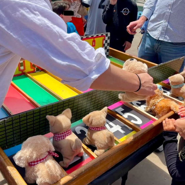 An image showing a close-up of a carnival-style game at the Grattan Fun Fest. An adult in a white shirt is reaching toward a mechanical racing game featuring small, plush toy dogs with checkered bandanas positioned on numbered lanes. In the background, other community members are visible in the sunny school yard, watching the game in progress.
