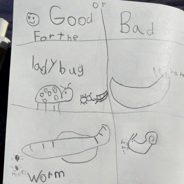 An image showing a child's hand-drawn illustration on a white piece of paper, divided into "Good" and "Bad" sections to categorize garden creatures. On the left, under "Good For the," the drawing features a spotted ladybug next to an aphid on a leaf and a long segmented worm with "Poop!" written nearby. On the right, under "Bad," the drawing includes a large slug and a snail, with small "ha ha" speech bubbles next to them.