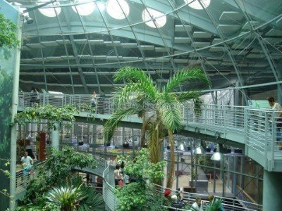 California Academy of Science