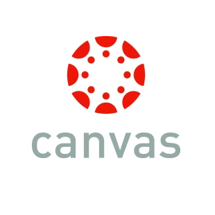 Canvas logo orange wheel with white background