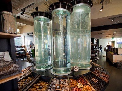 An exhibit at the exploratorium